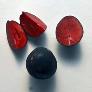 Davidson Plums - Minimum 1kg