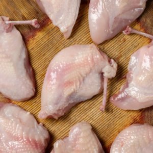 Quail Breast Singles per pkt (400gm)