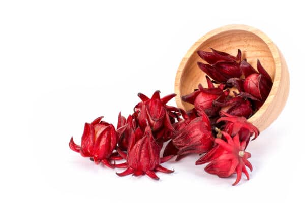 Australian Native Foods - Fruits - Rosella Flower