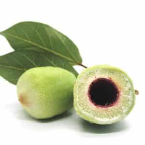 Kakadu Plums - Minimum 1kg